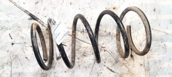 Suzuki Liana Rear coil spring