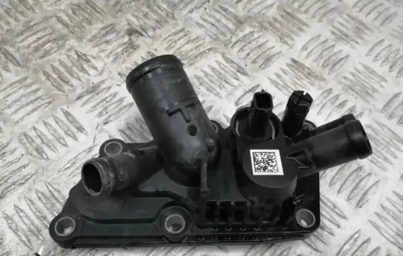 Thermostat/thermostat housing