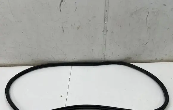 Mini Clubman F54 Front door rubber seal 