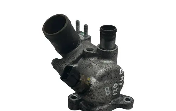 Thermostat/thermostat housing