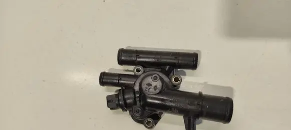 Thermostat/thermostat housing