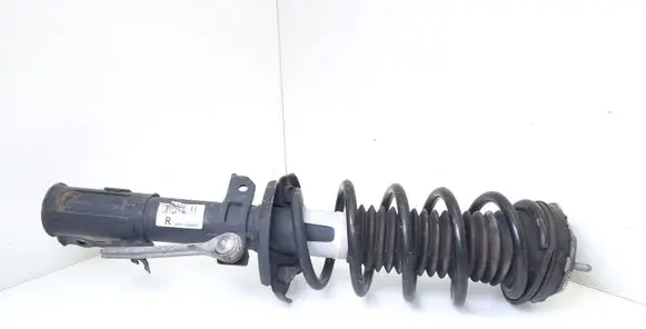 Ford B-MAX Front shock absorber with coil spring AP3118045AF