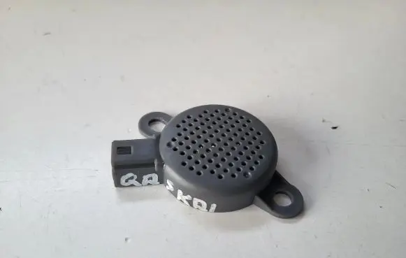 Nissan Qashqai Other devices 256506024R