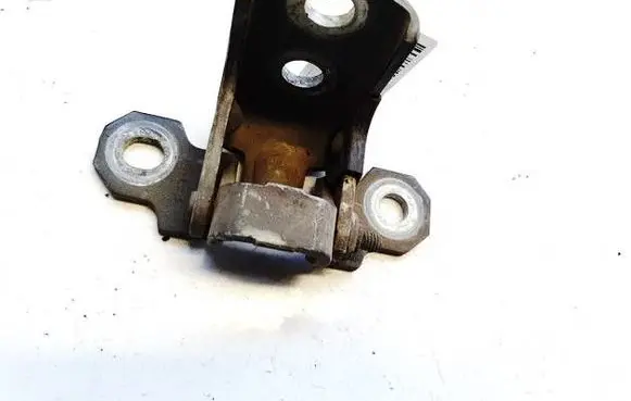 Renault Laguna II Rear door lower hinge 