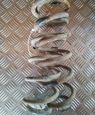 Peugeot 406 Rear coil spring