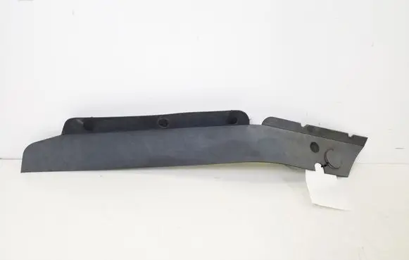 Engine bonnet/hood lock trim molding