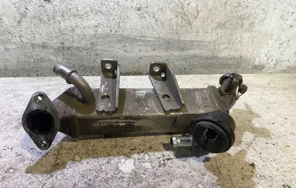 Renault Megane III EGR valve cooler 8200719993 8200620695