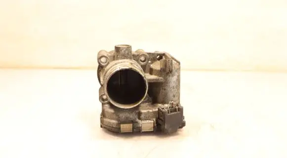 Throttle body valve