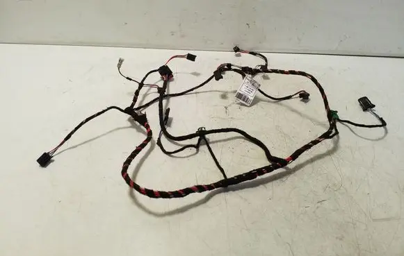 Other wiring loom