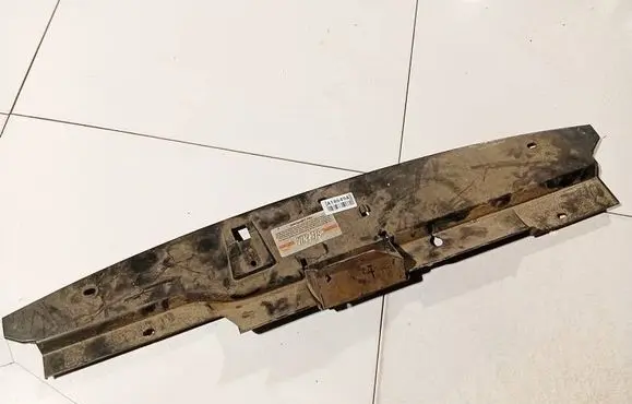 Engine bonnet/hood lock trim molding