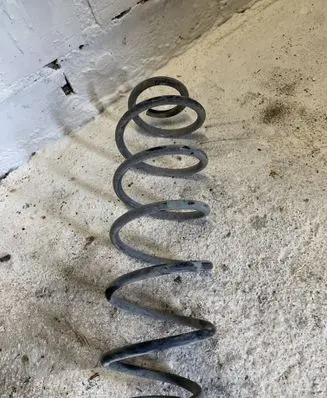 Citroen C3 Pluriel Rear coil spring