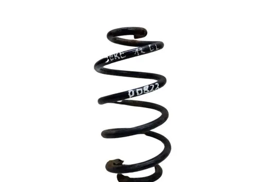 Nissan Juke I F15 Rear coil spring