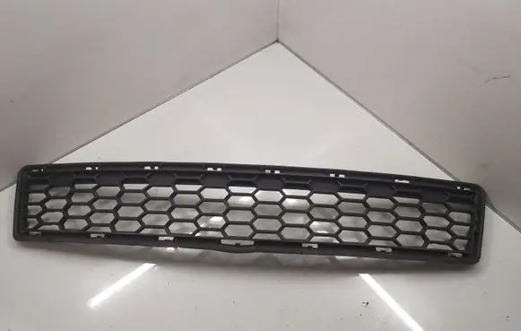 BMW X3 F25 Front bumper lower grill 8048097