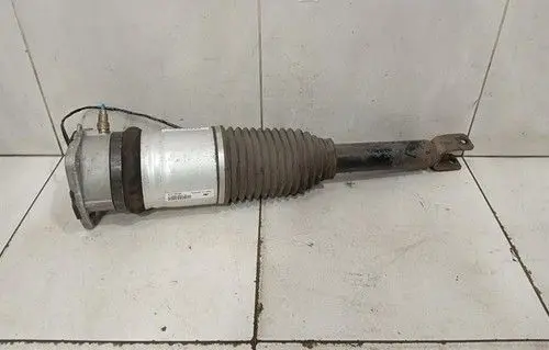Bentley Continental Rear shock absorber with coil spring 3W0616002B