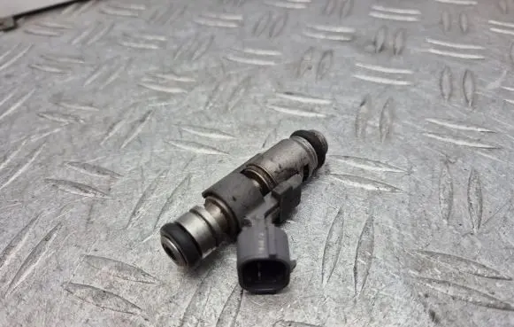 Peugeot 207 Fuel injector PM012