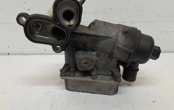Nissan Qashqai Oil filter mounting bracket 8200797762