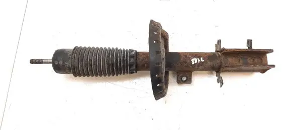 Peugeot Expert Front shock absorber/damper 824904005161