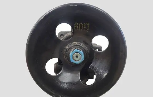 Opel Antara Power steering pump 40D333D3