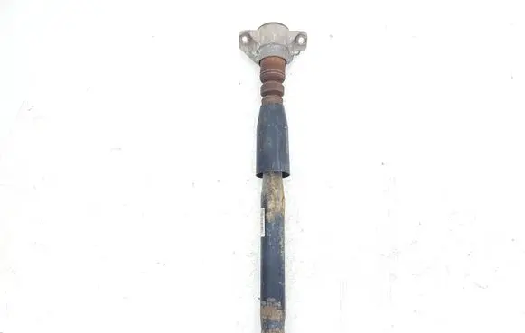Rear shock absorber/damper
