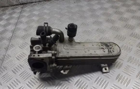 Volkswagen Golf IV EGR valve cooler