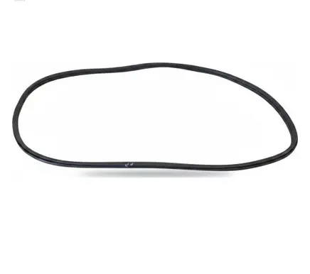 BMW 1 F70 Rubber seal front door (on door)