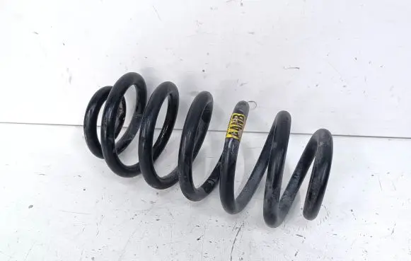 Buick Encore I Rear coil spring 95174968