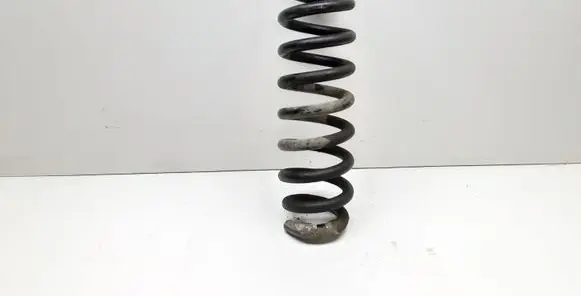 BMW X1 E84 Rear coil spring