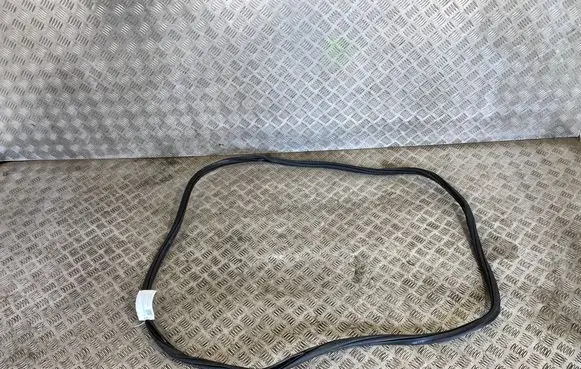 Volkswagen Tiguan Rubber seal rear door 5NA867913B