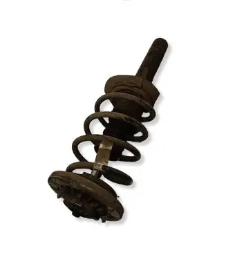 BMW X3 F25 Front shock absorber with coil spring 