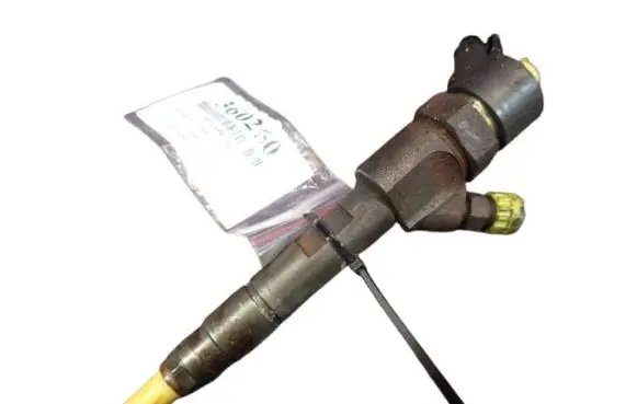 Renault Megane II Fuel injector
