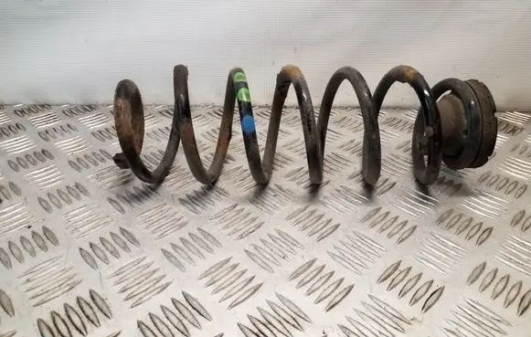 Rear coil spring