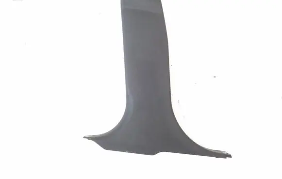(B) pillar trim (bottom)