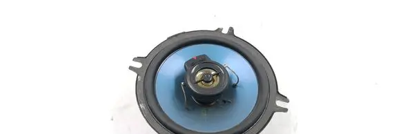 Renault Scenic I Front door speaker