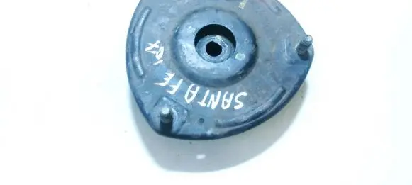 Hyundai Santa Fe Coil spring mount 
