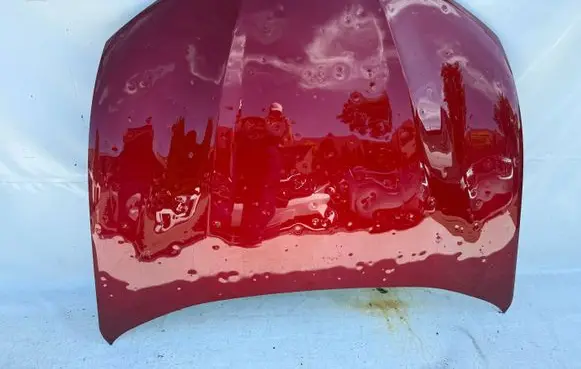 Engine bonnet/hood