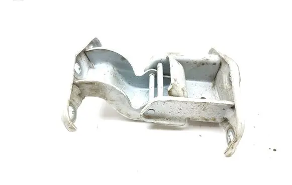 Renault Trafic III (X82) Rear door lower hinge 93458937