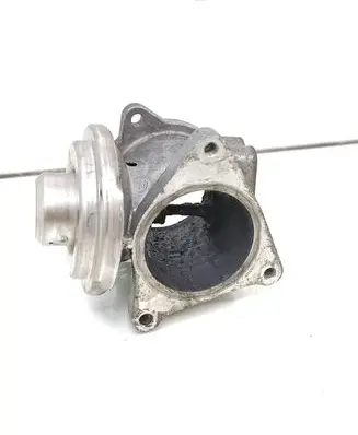 Volkswagen Jetta V EGR valve 038129637D 038131501AF 174503005