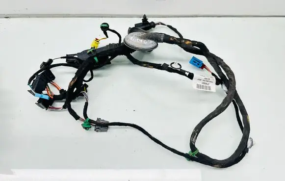 Seat Leon (5F) Front door wiring loom 5F4971029AP 20101506B