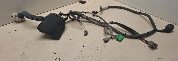 Front door wiring loom