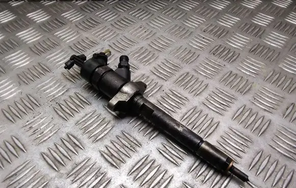 Citroen C4 I Picasso Fuel injector 0445110259 328480