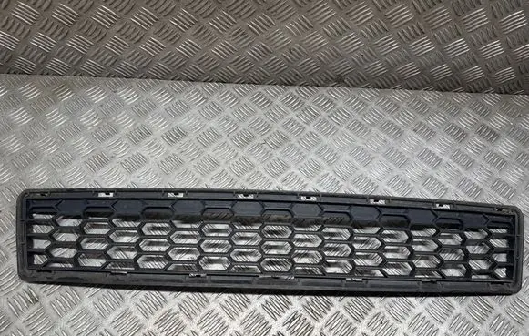 BMW X3 F25 Front bumper lower grill 8048097