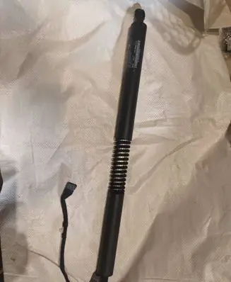 Tailgate strut