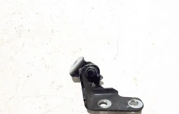 Front door lower hinge