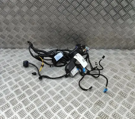 Polestar 2 Front door wiring loom 80015555 6608120821