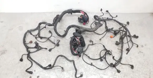 Engine installation wiring loom