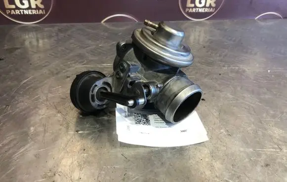 Volkswagen Golf IV EGR valve 038129637B