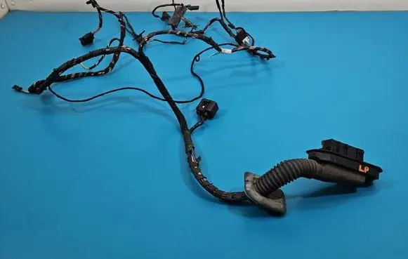 BMW X6 E71 Front door wiring loom 924207001 IMPRK1541489