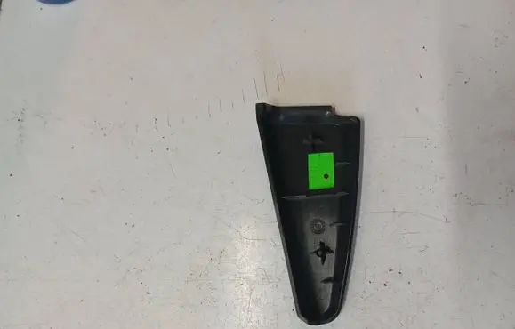 Other rear door trim element