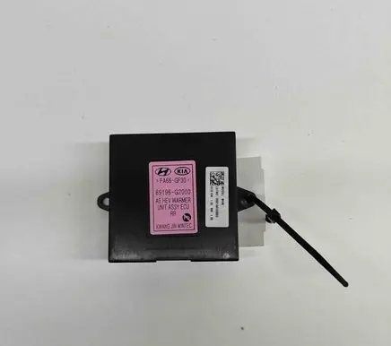 Hyundai Ioniq Other devices 89196G2000