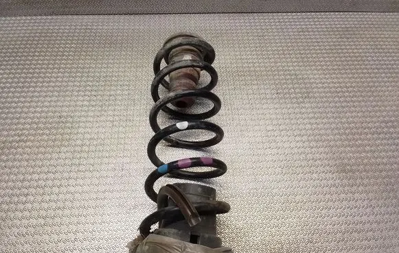 Citroen Berlingo Rear coil spring 5102R3